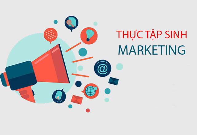 thực tập sinh marketing